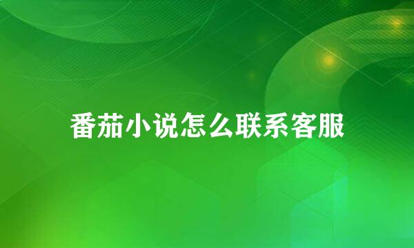番茄小说怎么联系客服