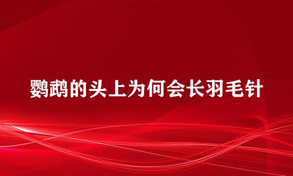 鹦鹉的头上为何会长羽毛针
