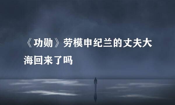 《功勋》劳模申纪兰的丈夫大海回来了吗
