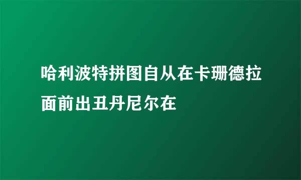 哈利波特拼图自从在卡珊德拉面前出丑丹尼尔在