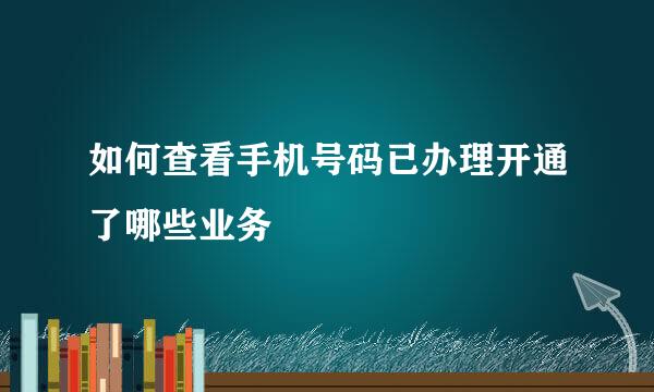 如何查看手机号码已办理开通了哪些业务