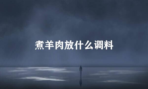煮羊肉放什么调料
