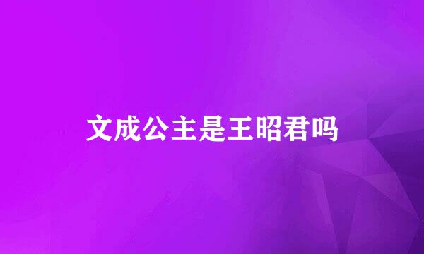 文成公主是王昭君吗