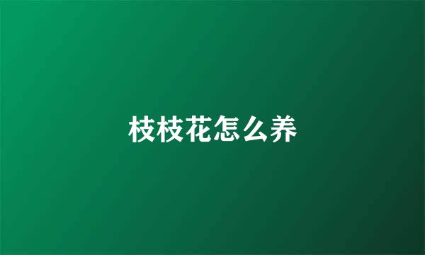 枝枝花怎么养