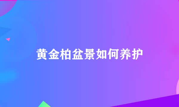 黄金柏盆景如何养护