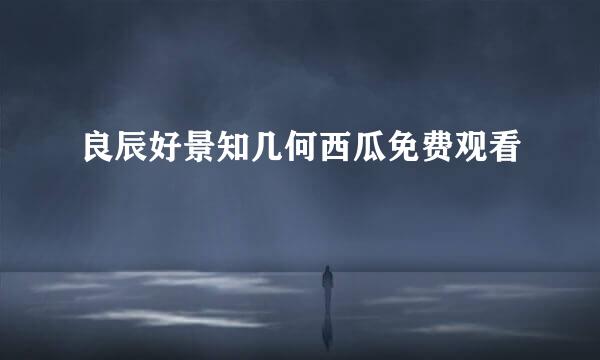 良辰好景知几何西瓜免费观看
