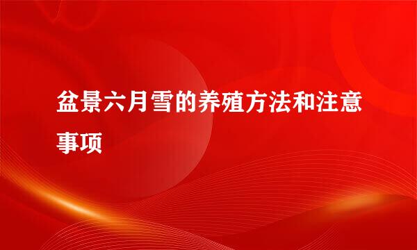 盆景六月雪的养殖方法和注意事项