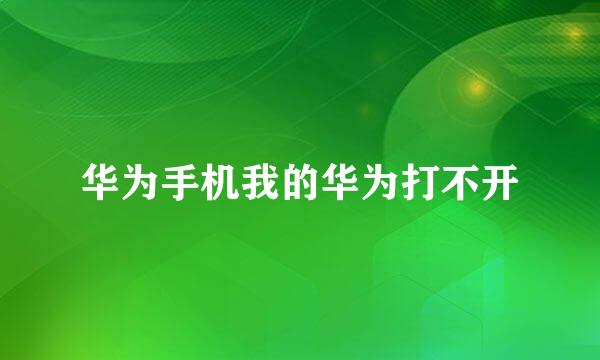 华为手机我的华为打不开