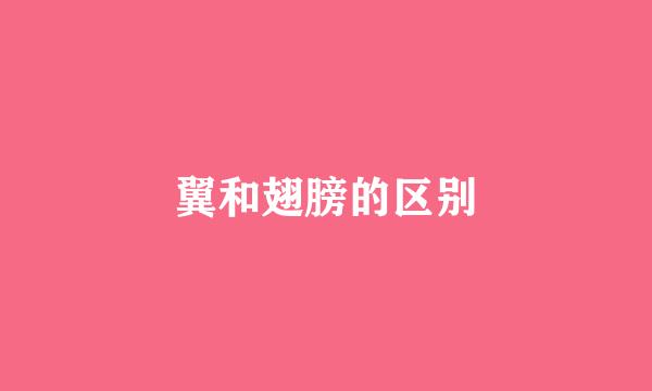翼和翅膀的区别