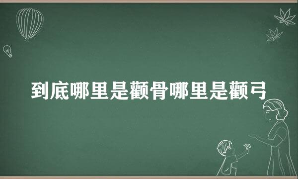 到底哪里是颧骨哪里是颧弓