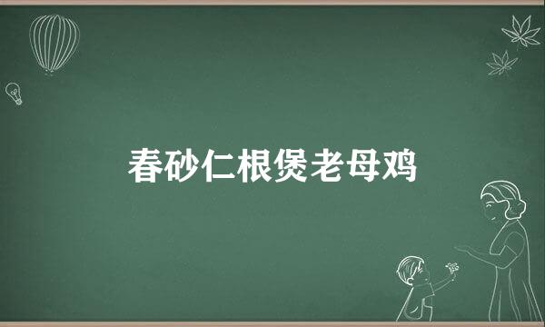 春砂仁根煲老母鸡