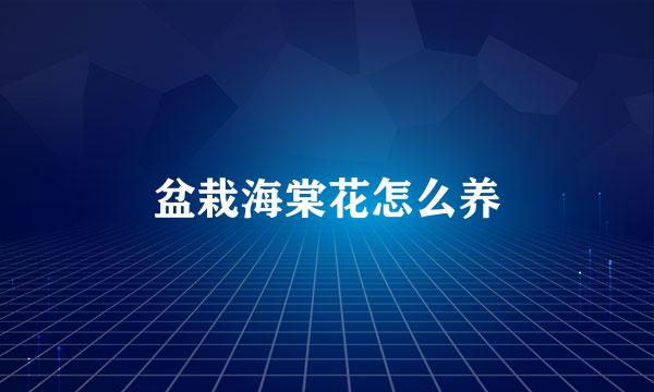 盆栽海棠花怎么养