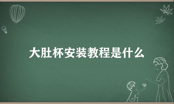 大肚杯安装教程是什么