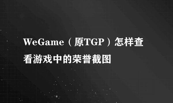 WeGame（原TGP）怎样查看游戏中的荣誉截图