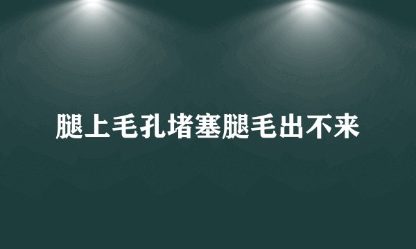腿上毛孔堵塞腿毛出不来