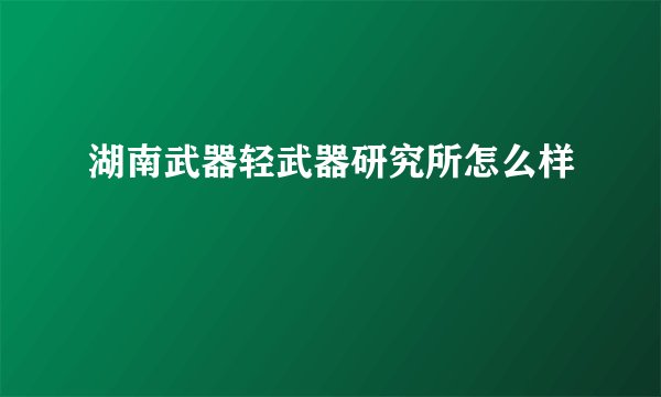 湖南武器轻武器研究所怎么样