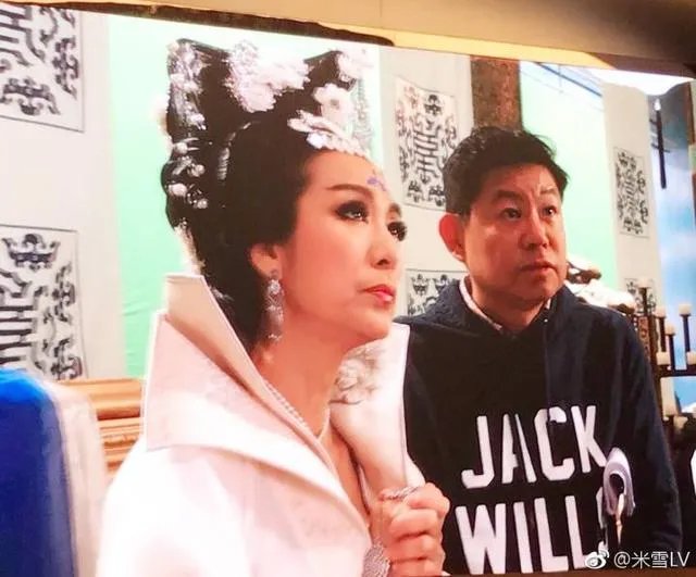 米雪演过的电视剧有哪些推荐？