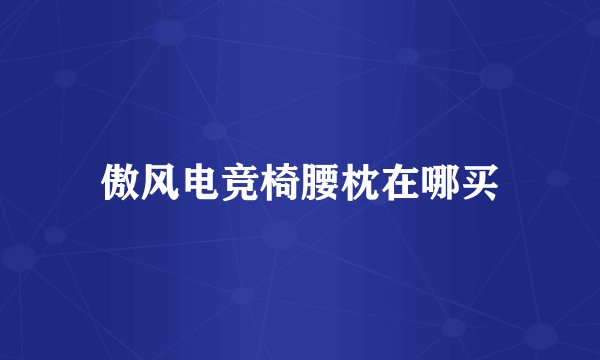 傲风电竞椅腰枕在哪买