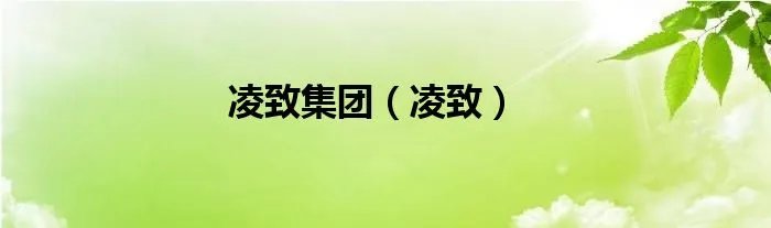 凌致集团（凌致）