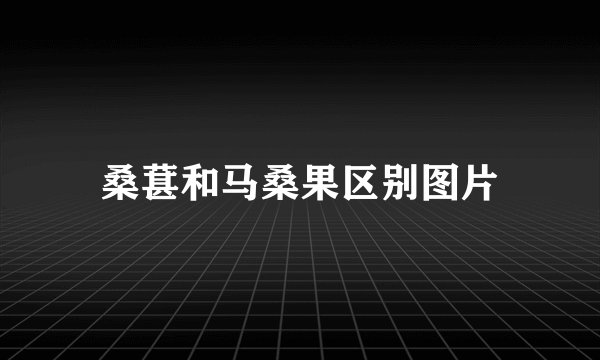 桑葚和马桑果区别图片