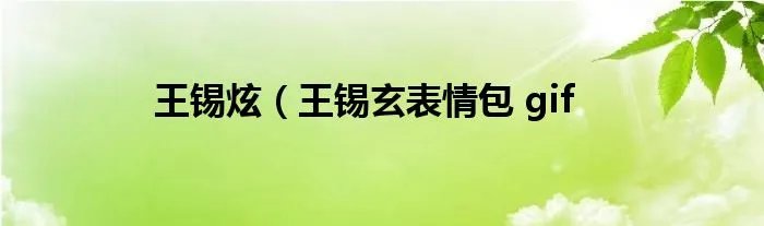 王锡炫（王锡玄表情包 gif