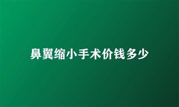 鼻翼缩小手术价钱多少