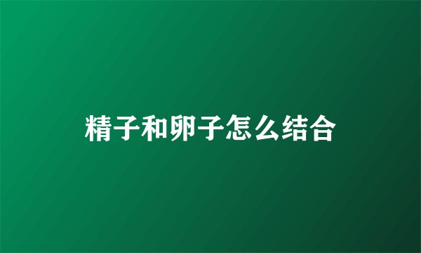精子和卵子怎么结合
