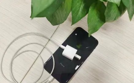 苹果不送充电器被判赔用户7千元,苹果认这个判决吗?