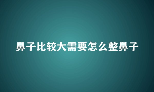 鼻子比较大需要怎么整鼻子