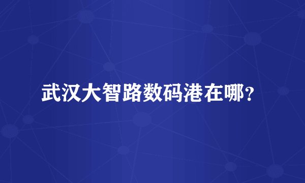 武汉大智路数码港在哪？