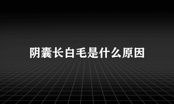 阴囊长白毛是什么原因