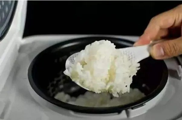 电饭煲煮饭要多久