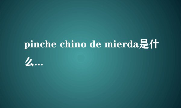 pinche chino de mierda是什么意思 好像是西班牙语