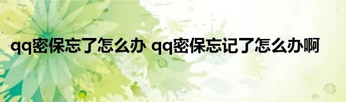 qq密保忘了怎么办 qq密保忘记了怎么办啊