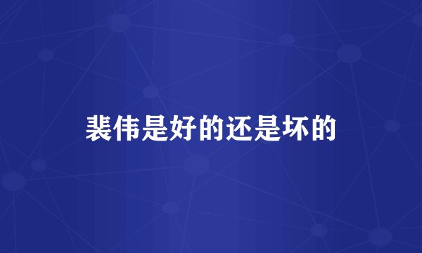 裴伟是好的还是坏的