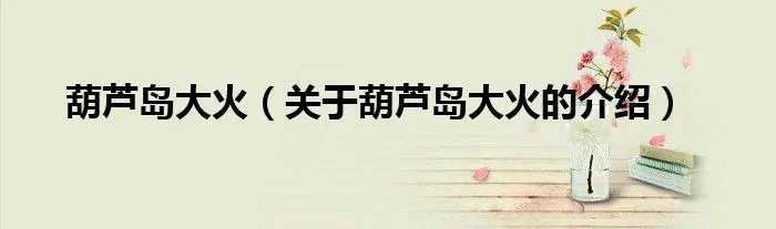 葫芦岛大火（关于葫芦岛大火的介绍）