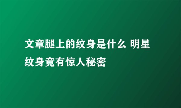 文章腿上的纹身是什么 明星纹身竟有惊人秘密