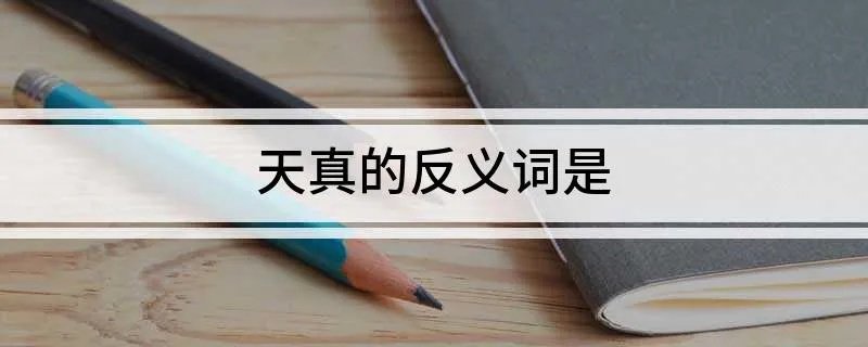 天真的反义词是