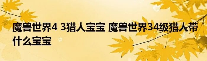 魔兽世界4 3猎人宝宝 魔兽世界34级猎人带什么宝宝