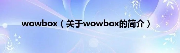 wowbox（关于wowbox的简介）