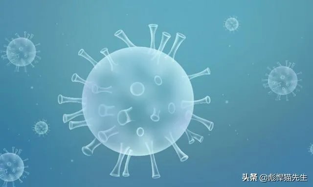 北京新发地发现新冠病毒有多长时间了?