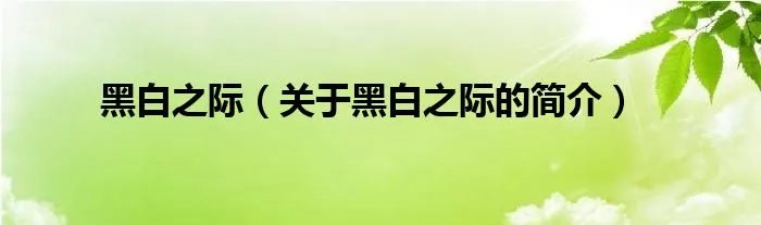 黑白之际（关于黑白之际的简介）