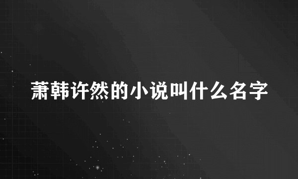 萧韩许然的小说叫什么名字
