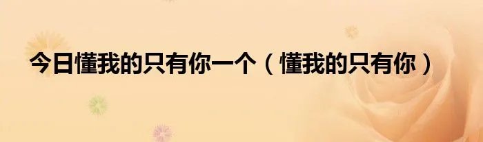 今日懂我的只有你一个(懂我的只有你)