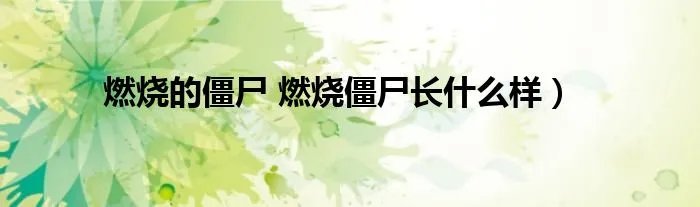 燃烧的僵尸 燃烧僵尸长什么样）
