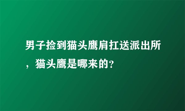 男子捡到猫头鹰肩扛送派出所，猫头鹰是哪来的？