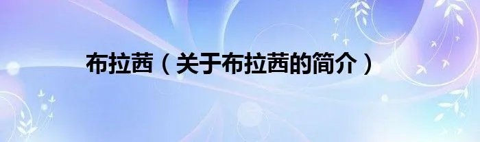 布拉茜（关于布拉茜的简介）