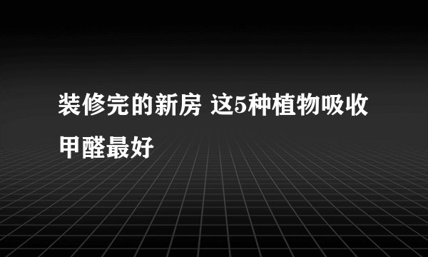 装修完的新房 这5种植物吸收甲醛最好