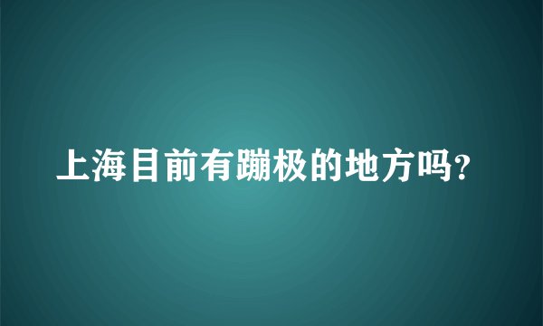 上海目前有蹦极的地方吗？