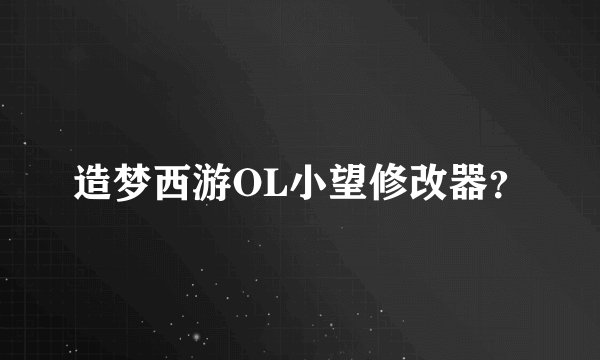 造梦西游OL小望修改器？